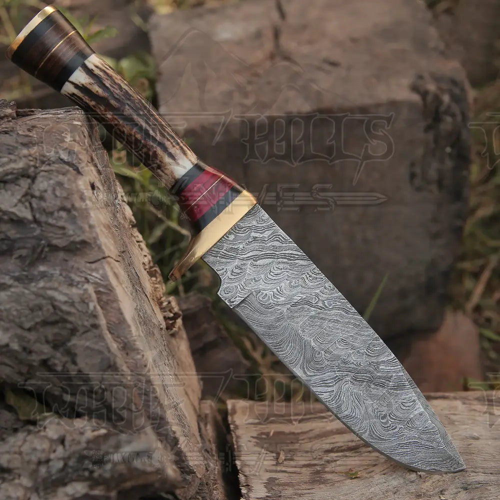 10”Custom HANDMADE DAMASCUS Steel Hunting Knife W / Stag Antler & Brass Guard
