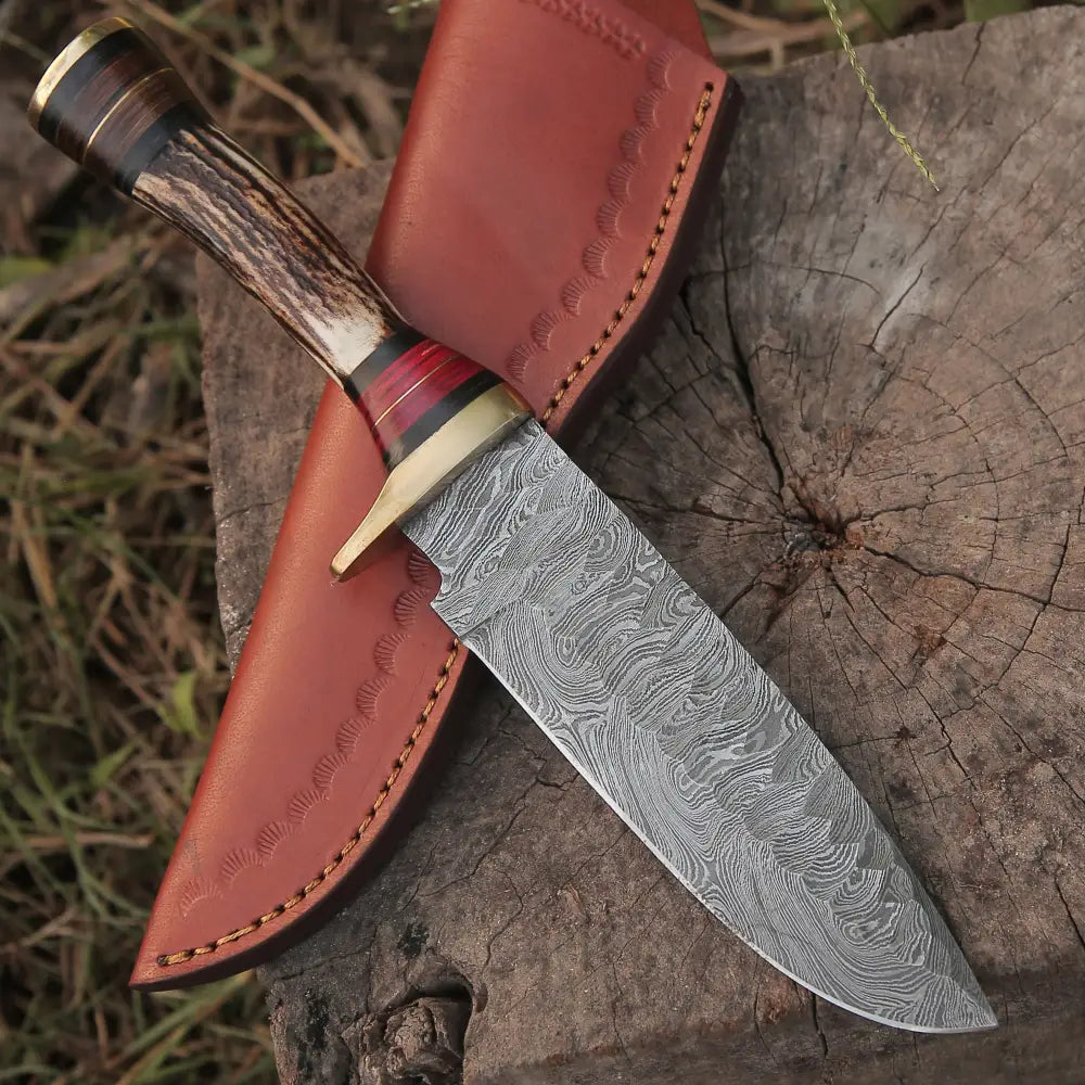 10”Custom HANDMADE DAMASCUS Steel Hunting Knife W / Stag Antler & Brass Guard