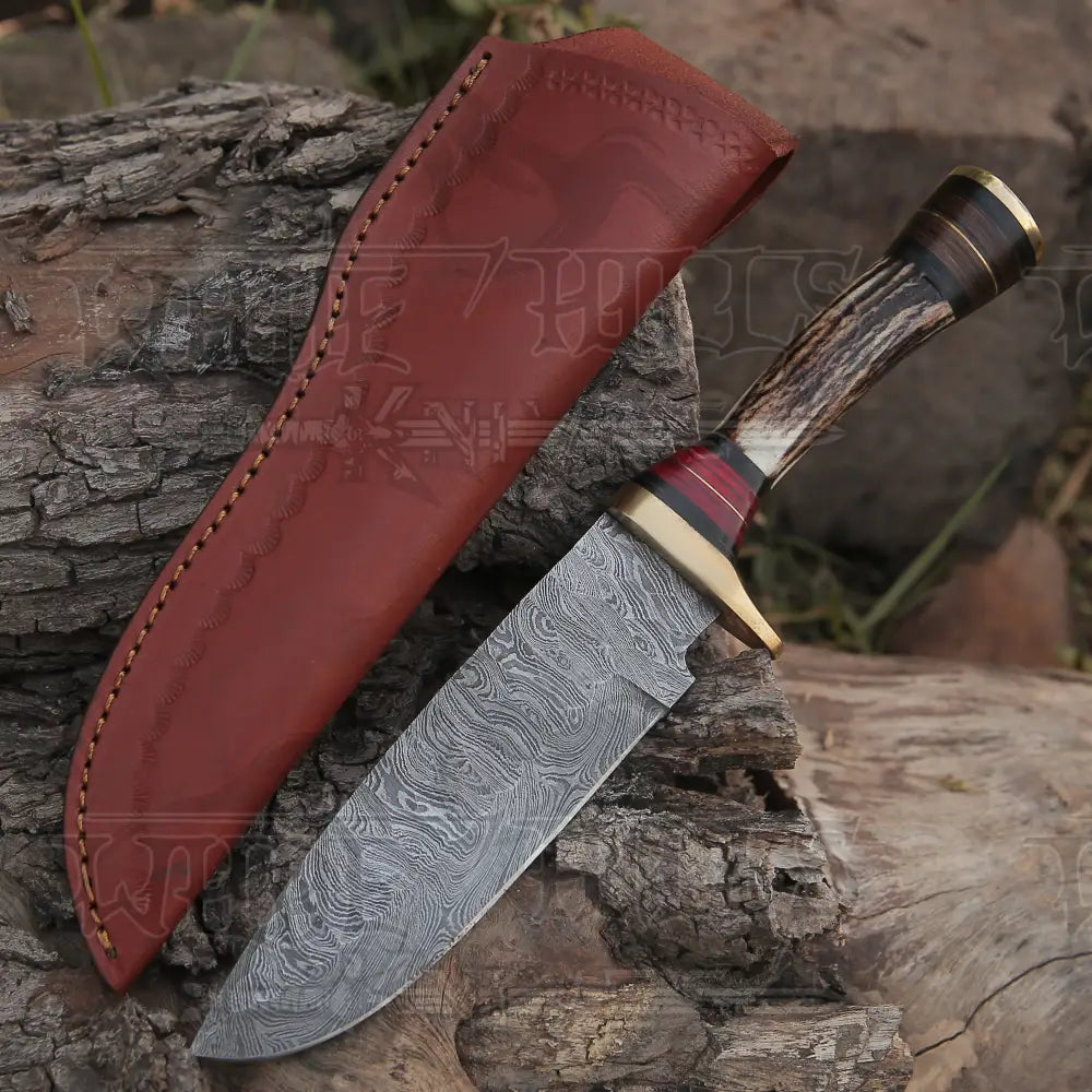 10”Custom HANDMADE DAMASCUS Steel Hunting Knife W / Stag Antler & Brass Guard