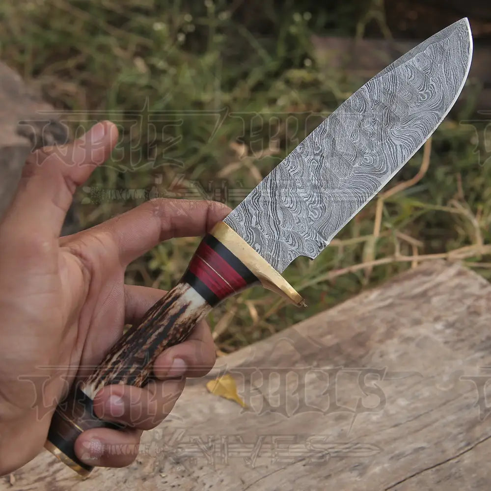 10”Custom HANDMADE DAMASCUS Steel Hunting Knife W / Stag Antler & Brass Guard