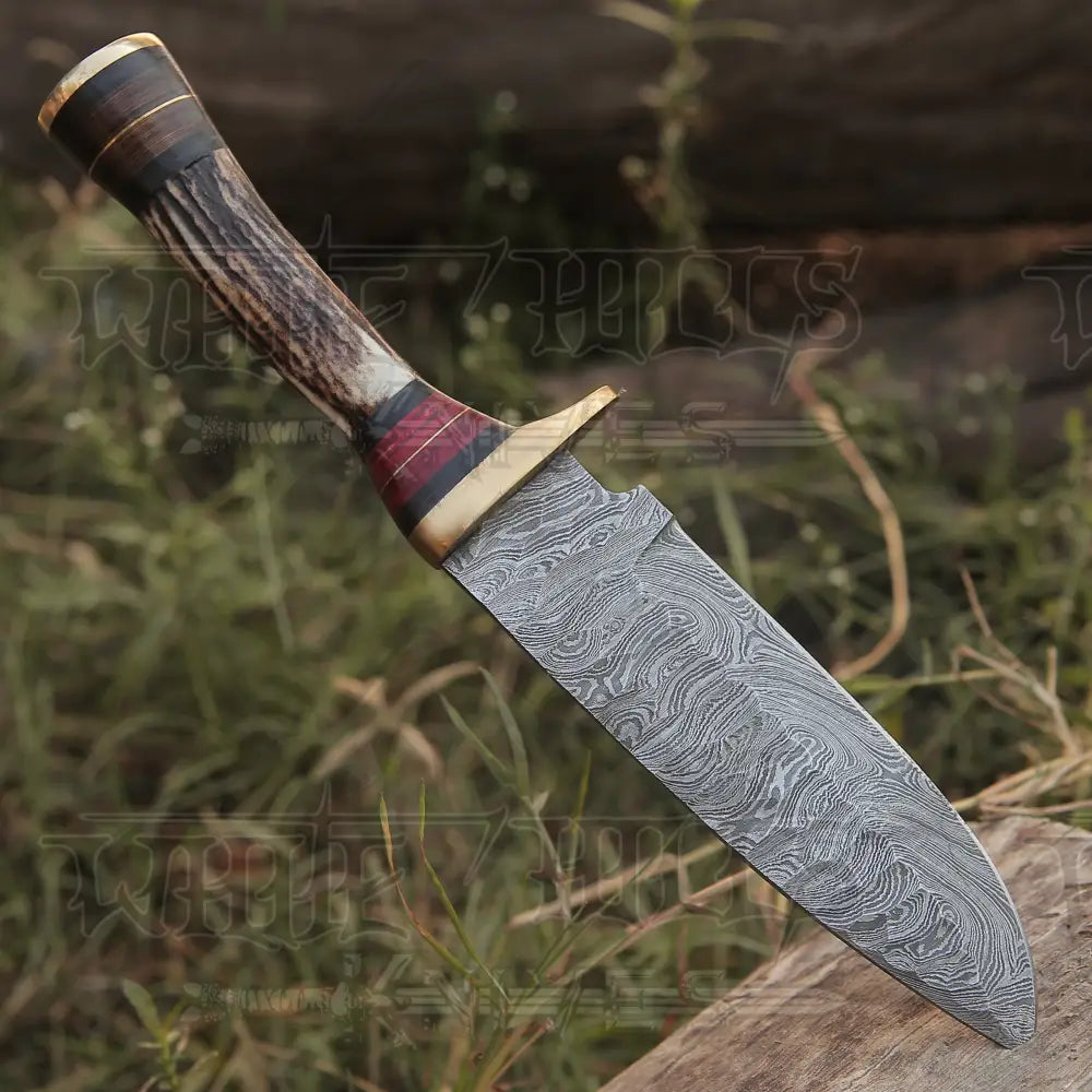 10”Custom HANDMADE DAMASCUS Steel Hunting Knife W / Stag Antler & Brass Guard