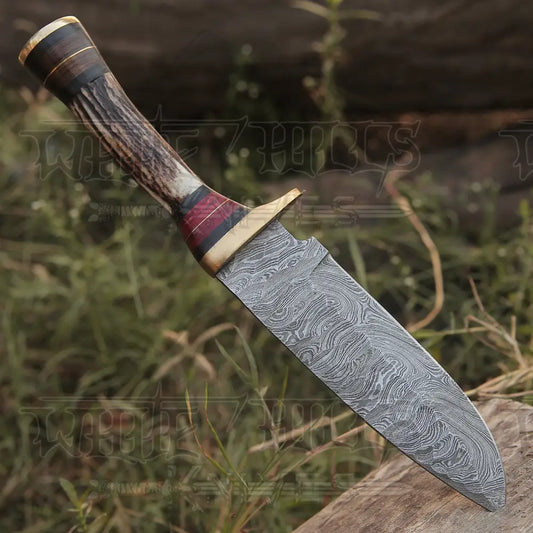 10”Custom HANDMADE DAMASCUS Steel Hunting Knife W / Stag Antler & Brass Guard